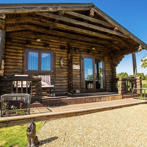 THE BIG CAT SANCTUARY LION LODGE STAY WITH MEALS! + INSTANT WINS!