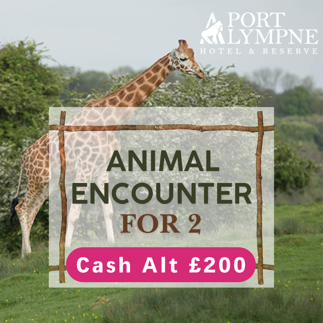 PORT LYMPNE ANIMAL ENCOUNTER FOR 2!