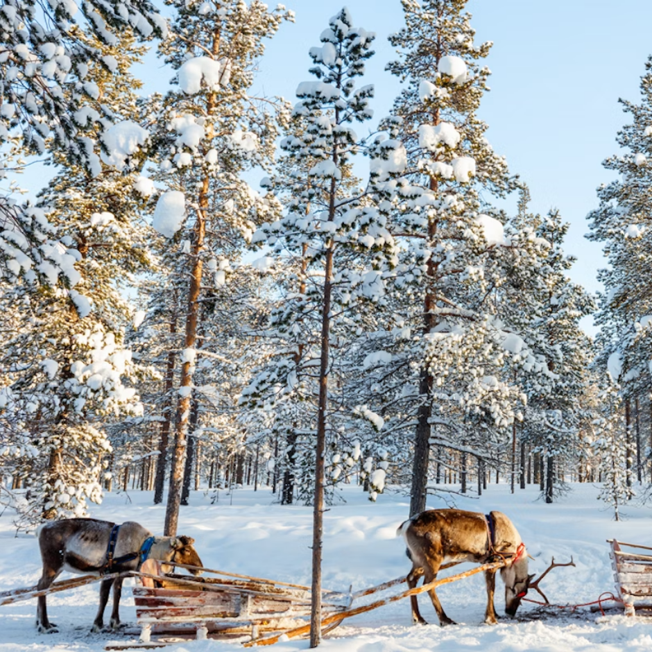 LAPLAND CHRISTMAS HOLIDAY FOR 4! £5K CASH ALT