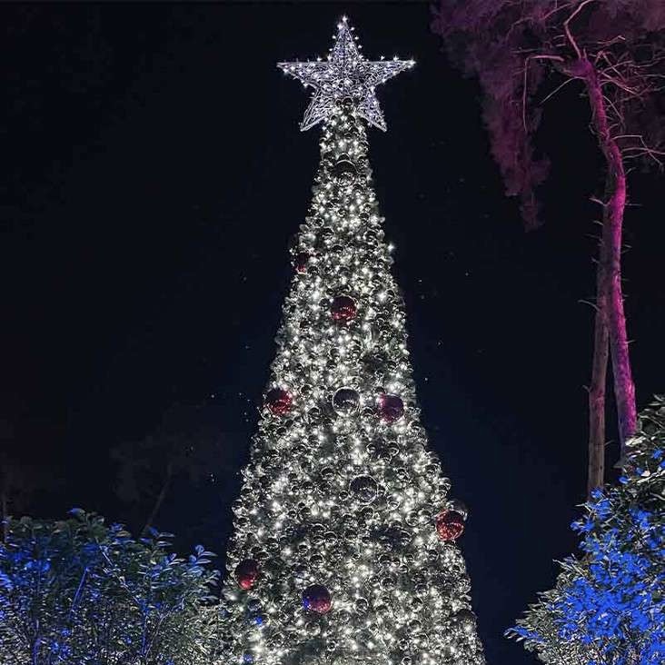 CHRISTMAS AT CENTER PARCS + £750 SPENDING or £2k cash!