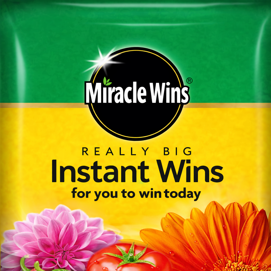 MIRACLE WINS - £25K TO WIN FOR 25P INSTANTLY!
